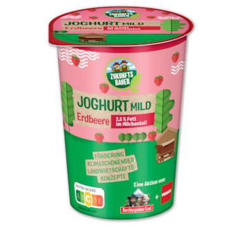 PENNY ZUKUNFTSBAUER Fruchtjoghurt 0.89