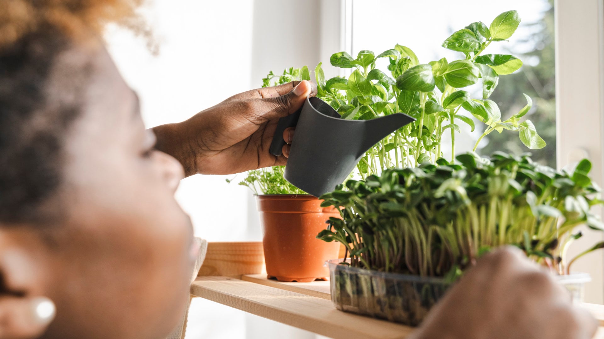 PENNY-Kräuter-gießen-1920x1080