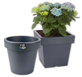 PROSPERPLAST Blumenkübel LOFLY*