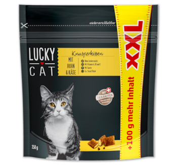 LUCKY CAT XXL Knusperkissen*