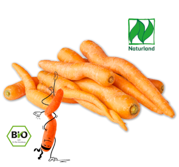 NATURGUT Bio-Möhren 1.69