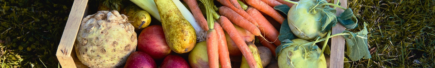Eine Kiste voll mit frisch geerntetem Obst und Gemüse, zum Beispiel Karotten, Sellerie und Birnen. 