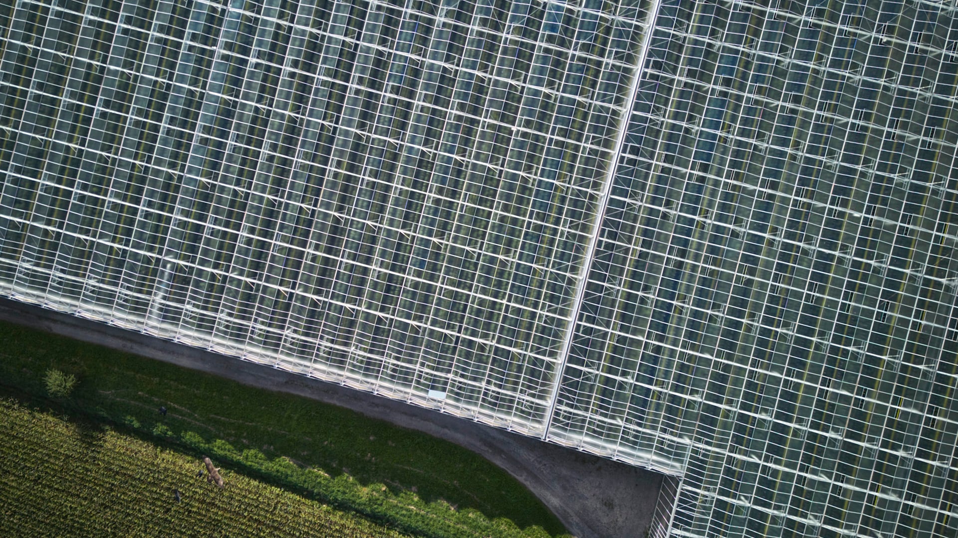 Wolfgang Steiner überprüft die jungen Pflanzen in seinem Gewächshaus.