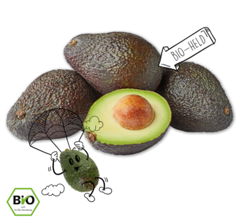 NATURGUT Bio Avocado