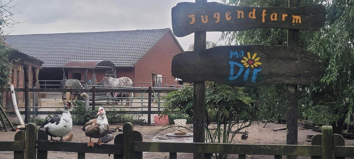 Aussenbereich mit Enten und Pferden