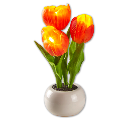 LED-Tulpen im Topf 3.00