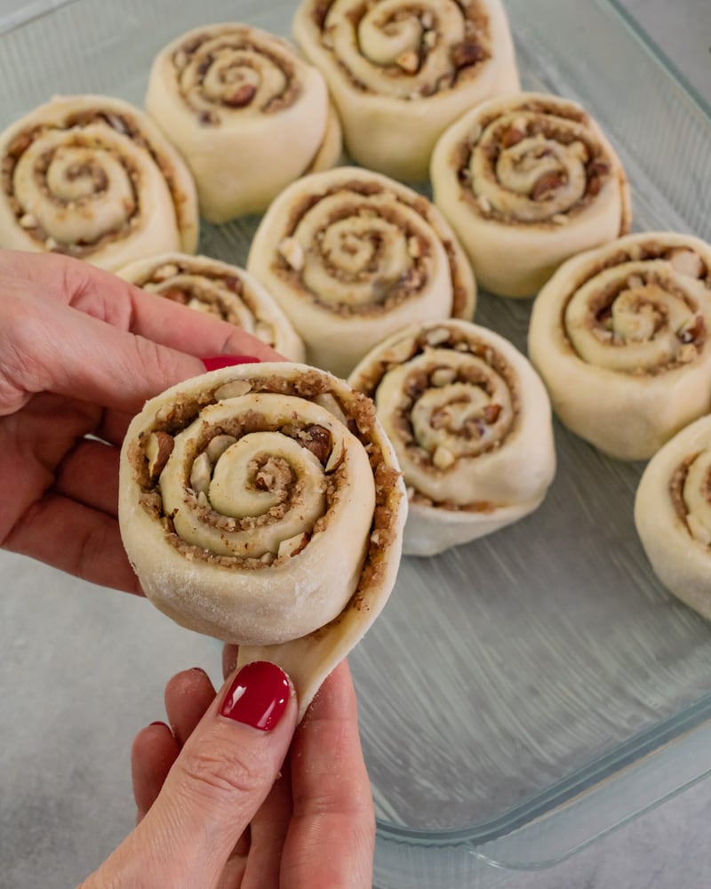 Dieses Bild zeigt wie die Schnecken festgemacht werden.