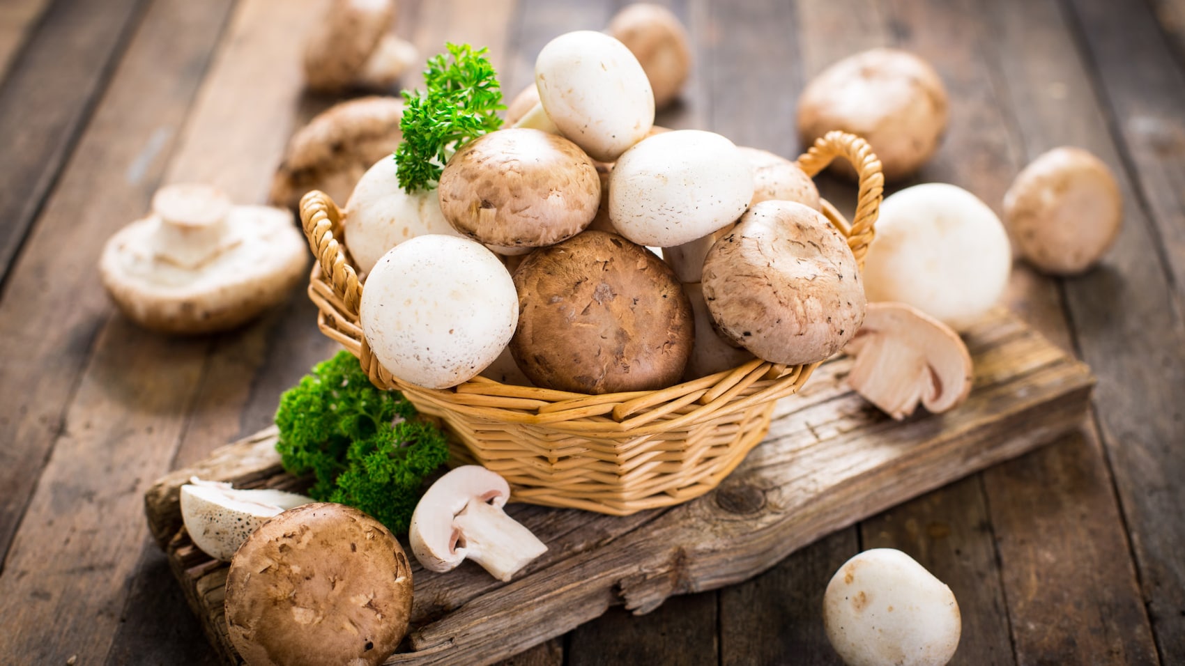 Weiße und braune Champignons