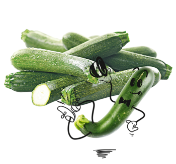 NATURGUT Bio Zucchini