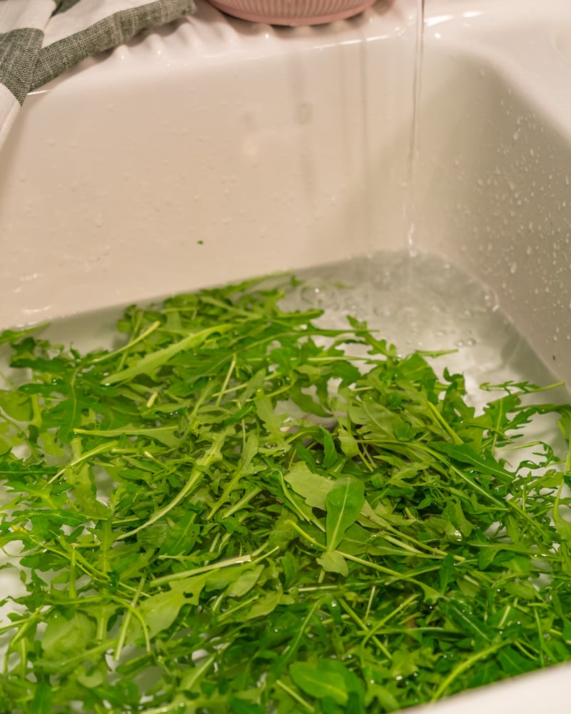 Diese Bild zeigt das waschen des Rucola.