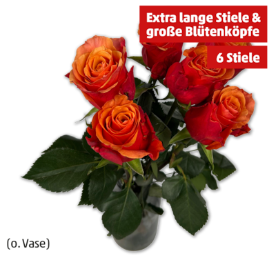 Fairtrade Premium-Rosen*