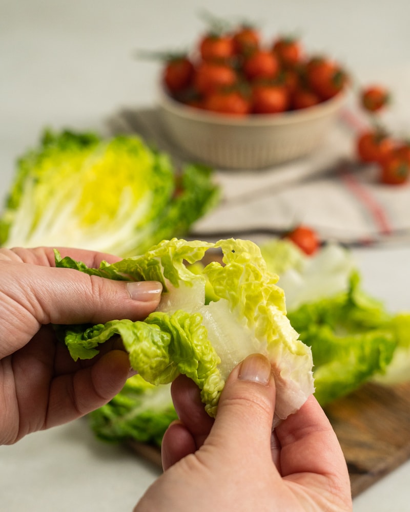 Auf diesem Bild siehst du wie Salatblätter zerkleinert werden.