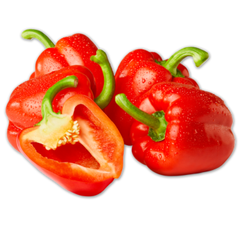 Rote Paprika