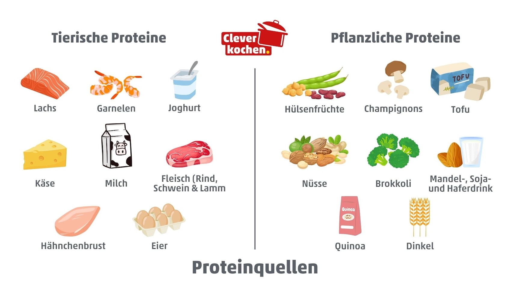 Infografik mit tierischen und pflanzlichen Proteinen