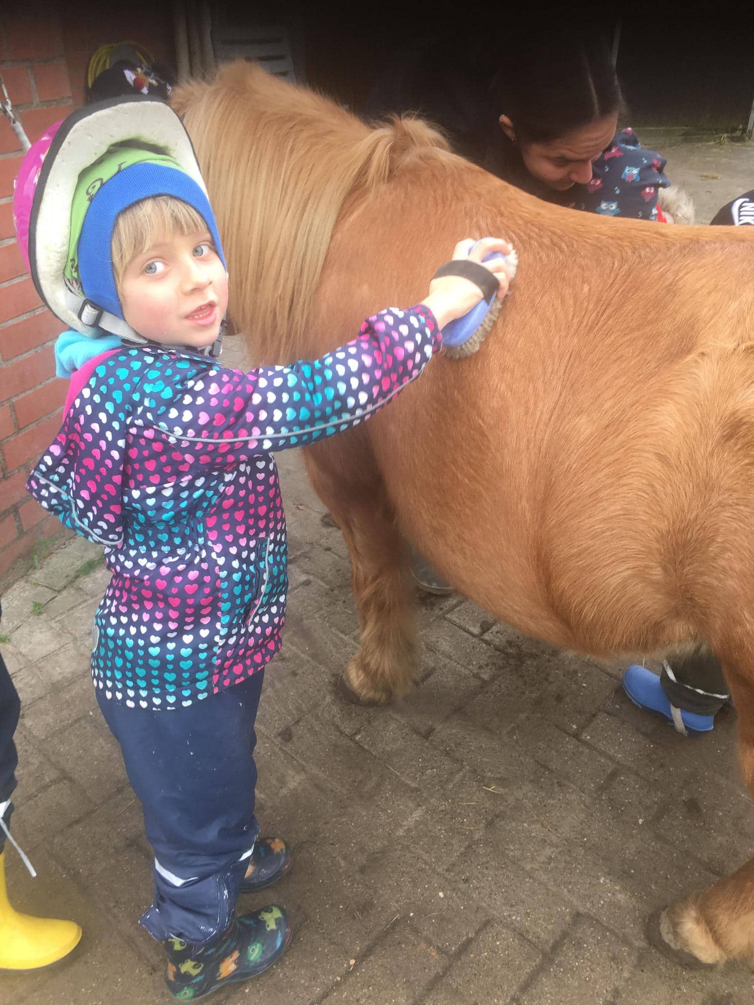 Ein Kind bürstet ein Pony