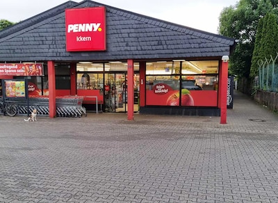 Sie sehen den Eingang vom Penny Markt in Castrop-Rauxel – Ickern, Recklinghauser Strasse 120