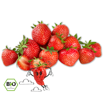 NATURGUT Bio-Erdbeeren