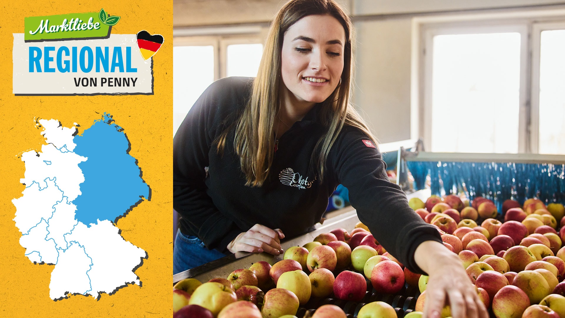 Nane Coorssen ist bei der Sortierung der Äpfel zu sehen. Daneben sehen wir die Deutschlandkarte, auf der die östlichen Regionen markiert sind.