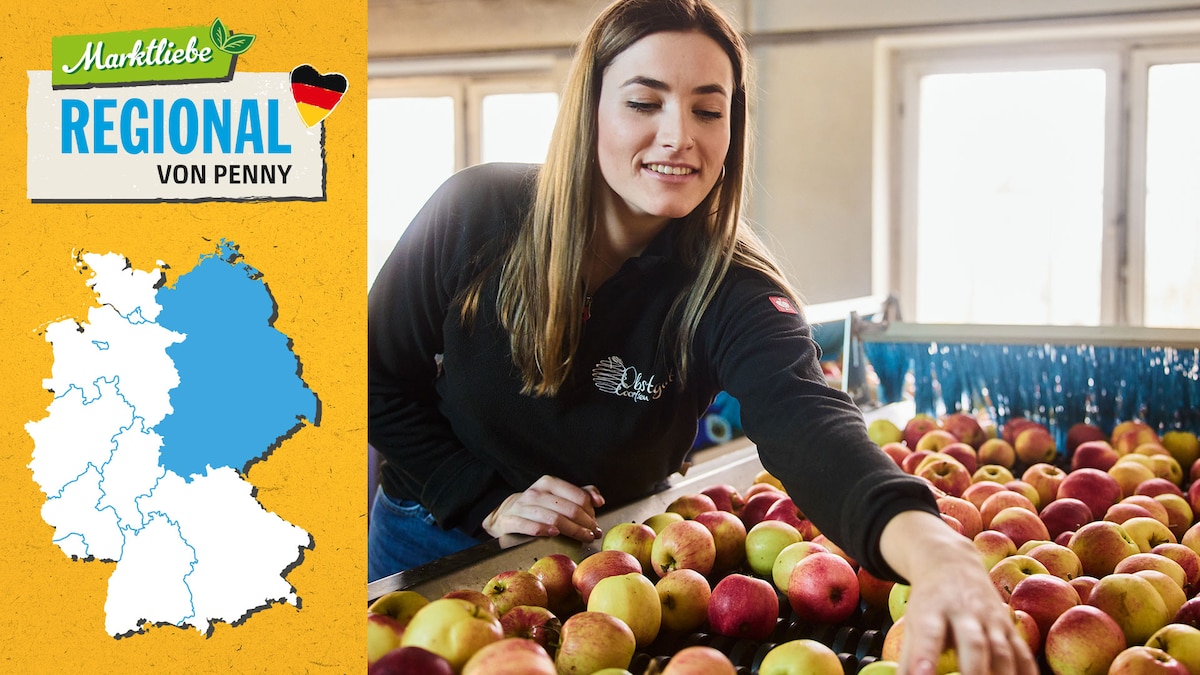 Nane Coorssen ist bei der Sortierung der Äpfel zu sehen. Daneben sehen wir die Deutschlandkarte, auf der die östlichen Regionen markiert sind.