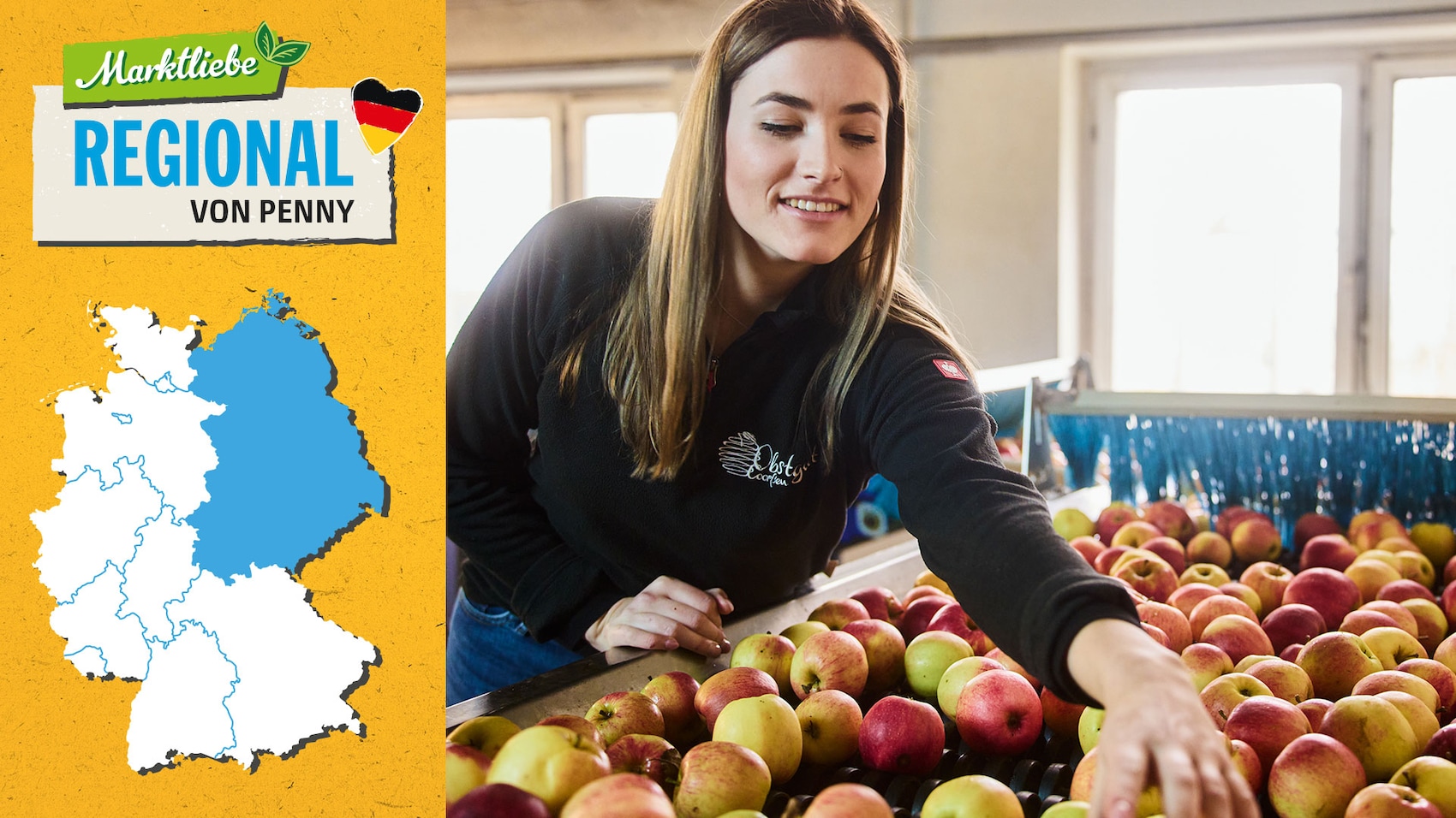 Nane Coorssen ist bei der Sortierung der Äpfel zu sehen. Daneben sehen wir die Deutschlandkarte, auf der die östlichen Regionen markiert sind.