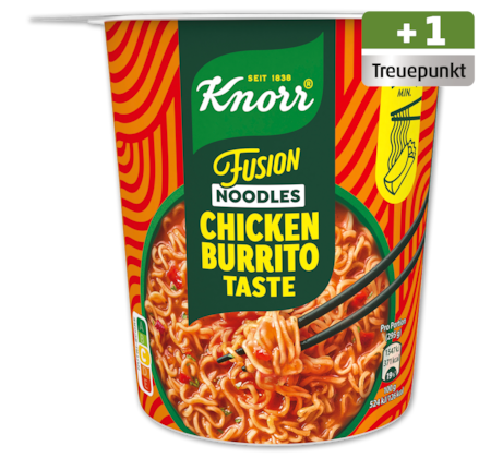 KNORR Fusion Noodles*