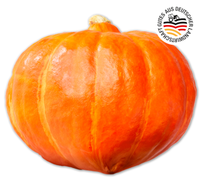 Deutscher Hokkaido Kürbis*