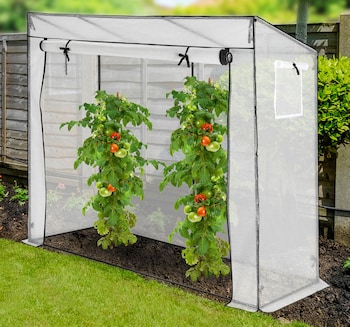 FLORANA Tomatengewächshaus*