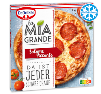 DR. OETKER La Mia Grande Salame Piccante