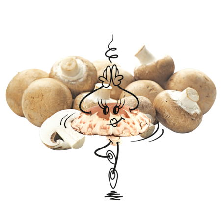 NATURGUT Bio Champignons braun