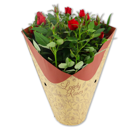 Topfrosen in Kragentüte*