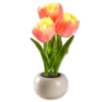 LED-Tulpen im Topf 3.00