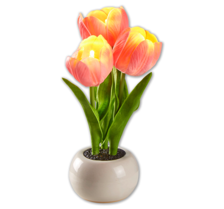 LED-Tulpen im Topf 3.00