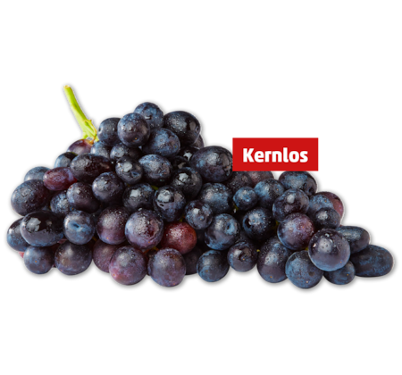 Dunkle, kernlose Tafeltrauben