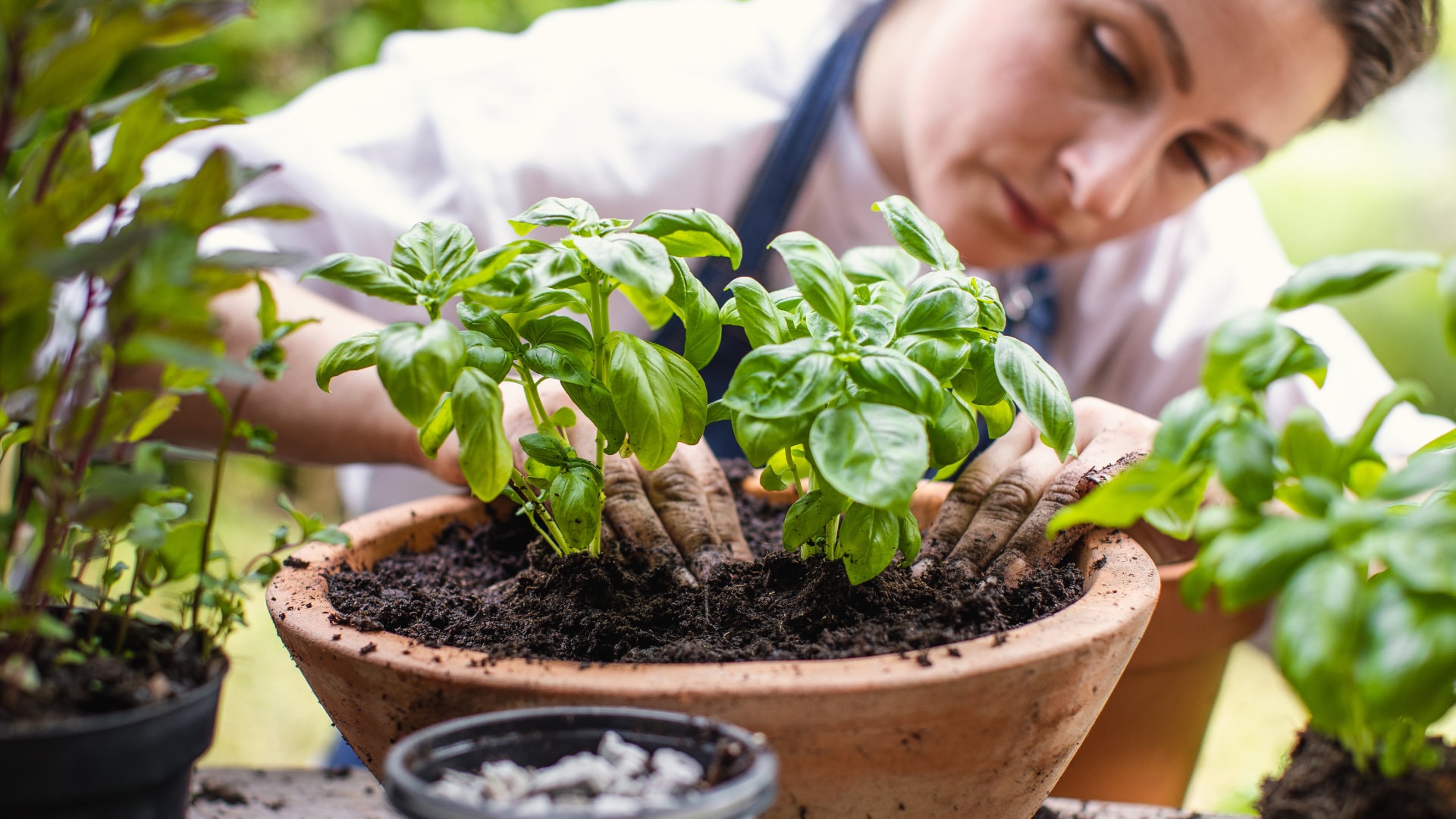 PENNY-Frau2-Kräuter-1920x1080