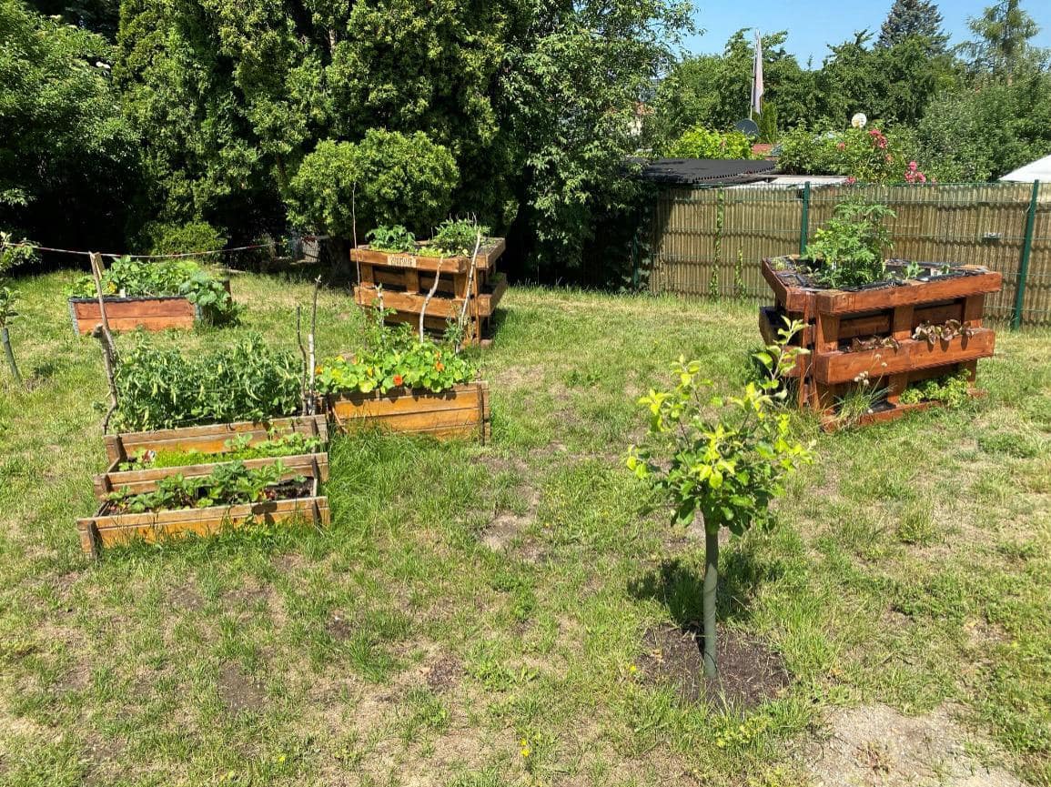 Ausblick auf den Garten der Kita