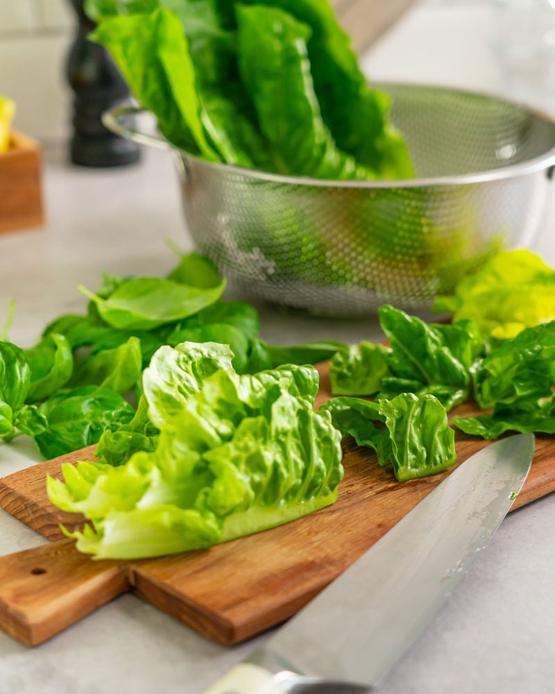 Dieses Bild zeigt wie der Salat geschnitten wird.