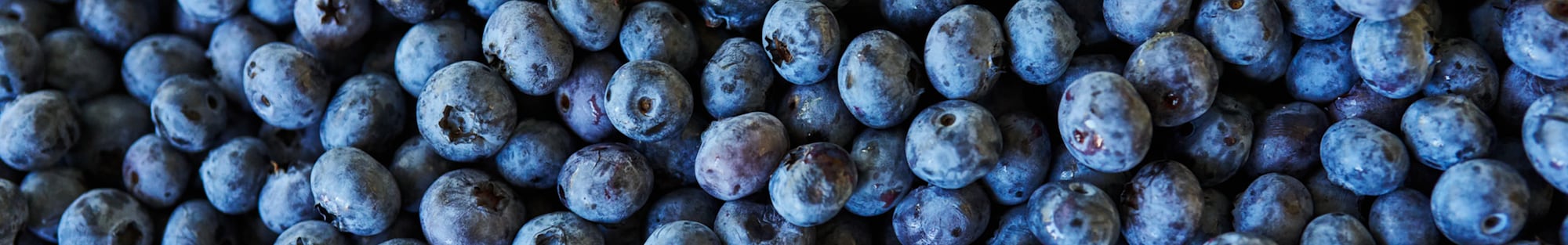 Ein Ausschnitt eines großen Bohnenfeldes