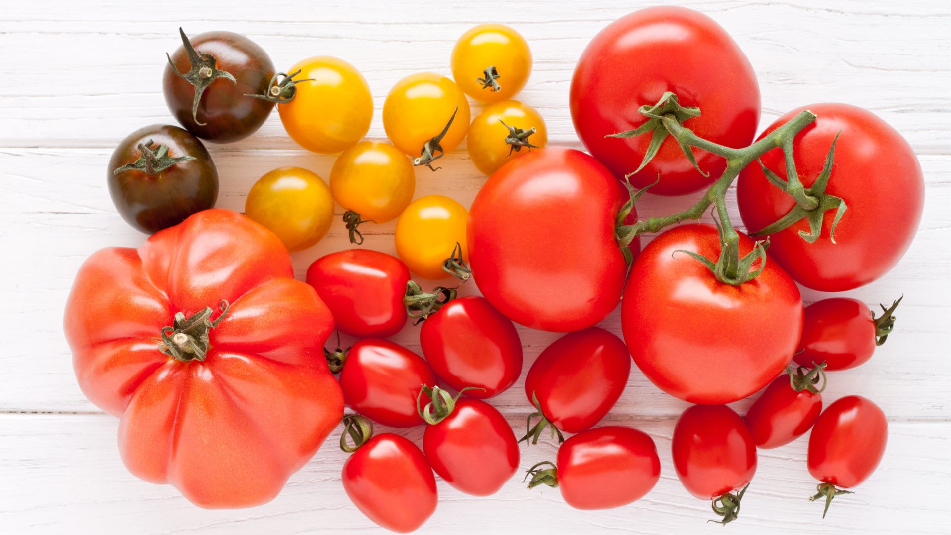 Gelbe und rote Tomaten vor weißen Holzgrund