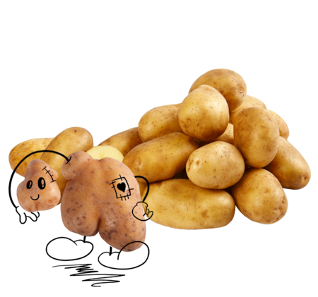 NATURGUT Bio Kartoffeln