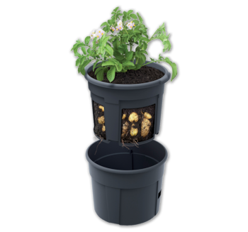 Kartoffelpflanztopf*