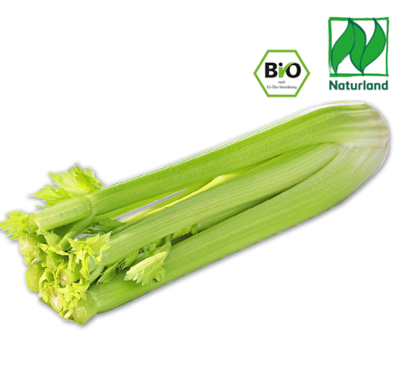 NATURGUT Bio-Staudensellerie