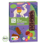 NATURGUT Bio Dattelriegel 2.29