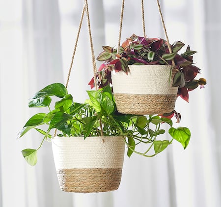 Set Hängende Pflanzenkörbe*