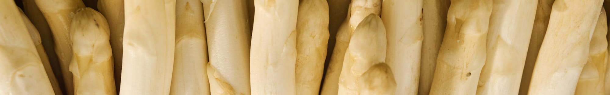 Ein Ausschnitt eines großen Bohnenfeldes