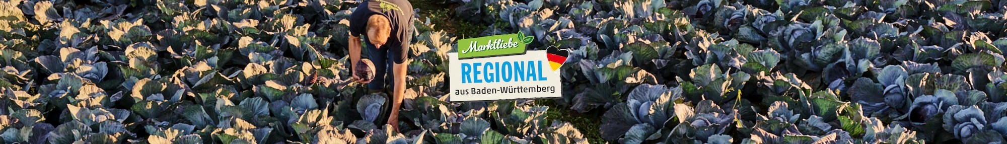 Das Markliebe Regional aus dem Südwesten Logo vor einem Rotkohlfeld