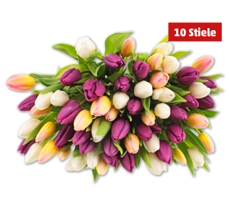 Tulpen „Hot & Fresh“*