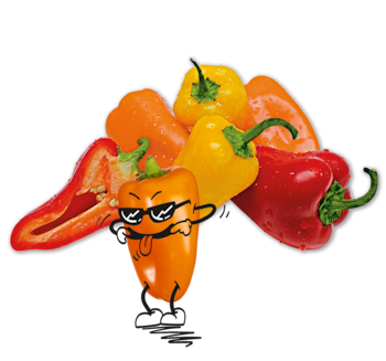 NATURGUT Bio Paprika Snack