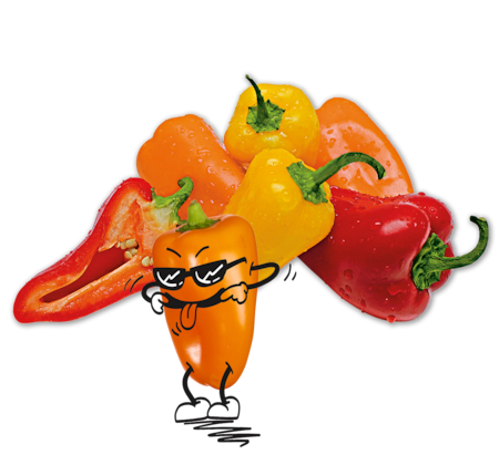 NATURGUT Bio Paprika Snack