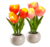 LED-Tulpen im Topf 3.00
