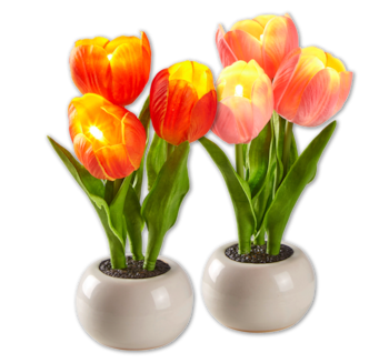 LED-Tulpen im Topf 3.00